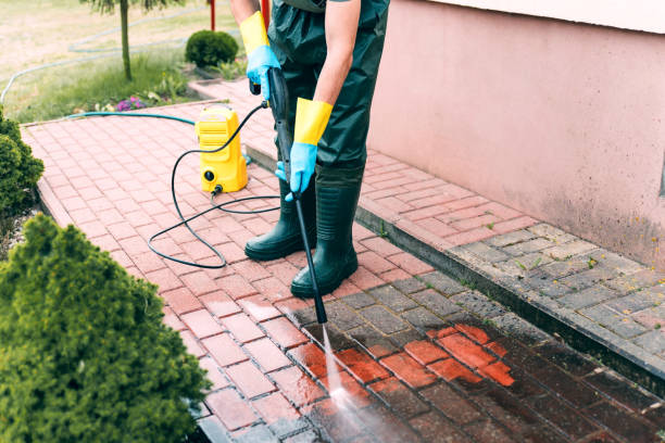 Best Spring Cleaning  in Blue Ridge, GA