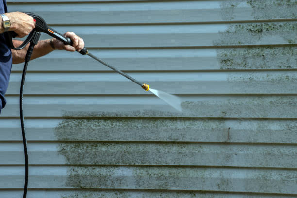 Trusted Blue Ridge, GA Pressure Washing Services Experts