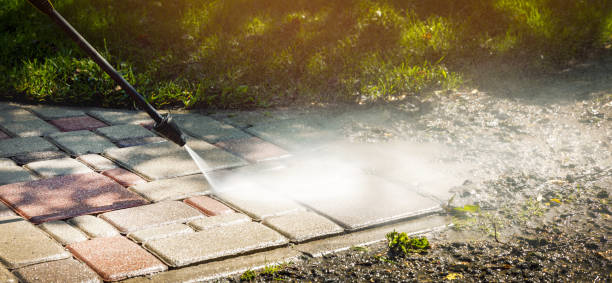 Best Driveway Pressure Washing  in Blue Ridge, GA