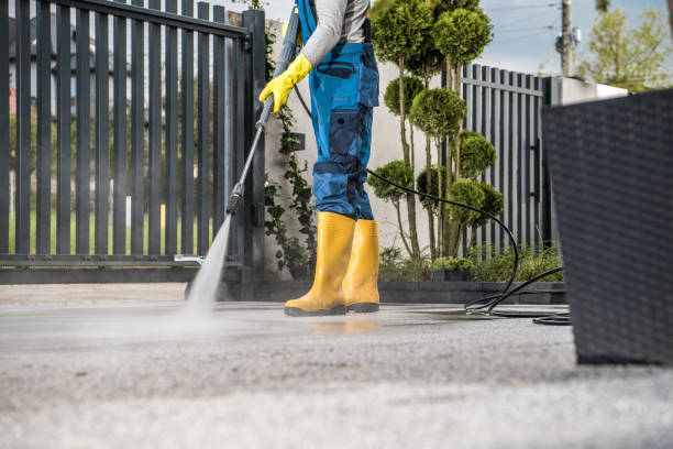Best Solar Panel Cleaning  in Blue Ridge, GA